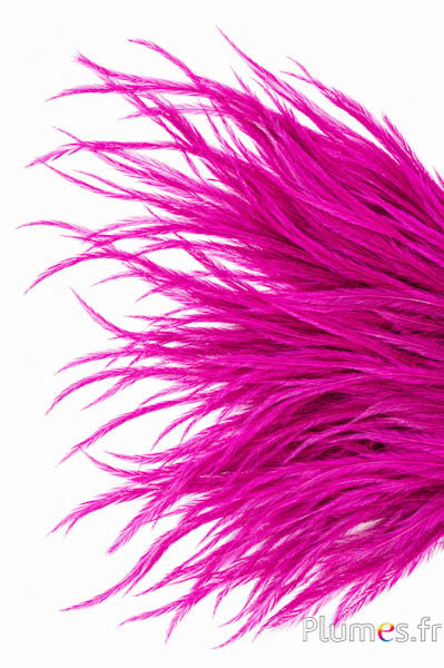 Strauss Franzen - 8-15 cm - pink